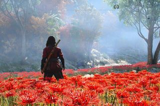 RECENZE: Assassin’s Creed Shadows se vrací ke kořenům. Je lepší, než většina hráčů očekávala - Novinky